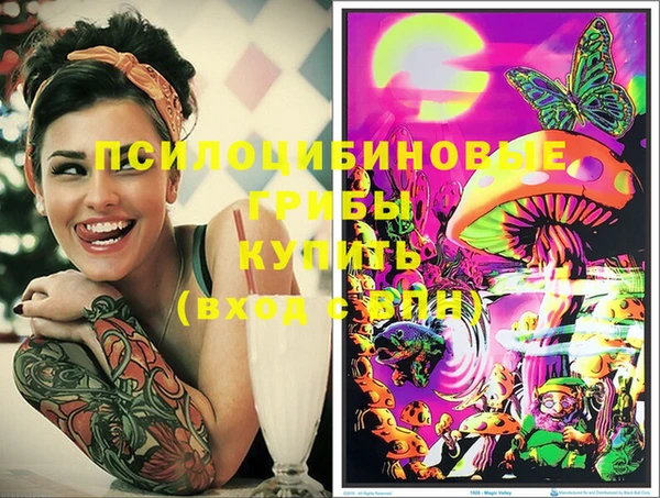 молекула духа Балахна