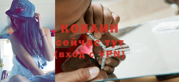 индика Балабаново
