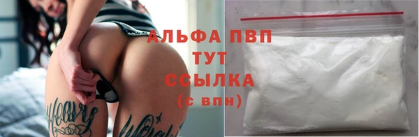 соль ск Няндома