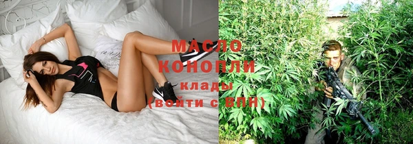 сатива Нягань