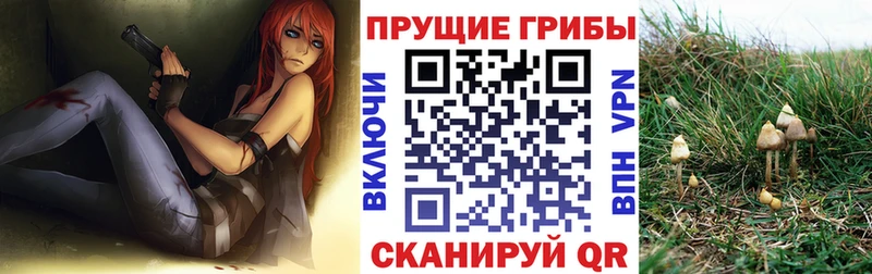 Галлюциногенные грибы GOLDEN TEACHER Петушки