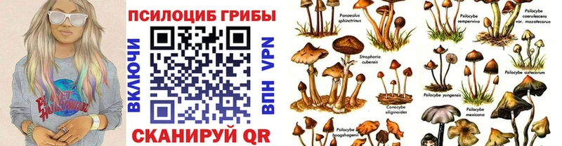 мега онион  Петушки  Галлюциногенные грибы GOLDEN TEACHER 